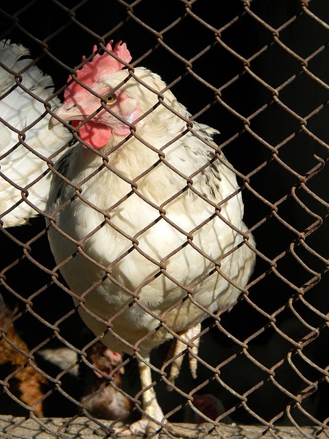 都取得过显 都取得过显