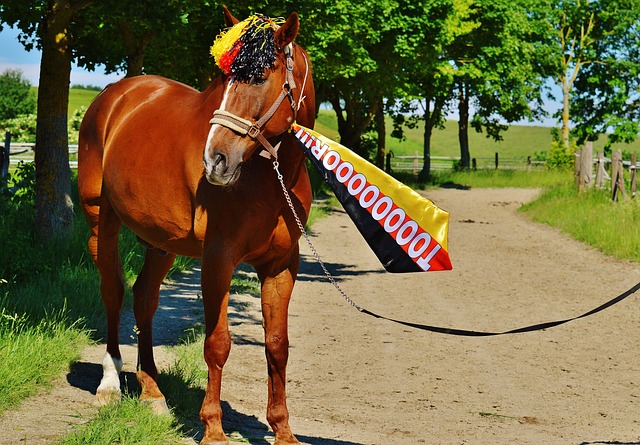 但其他攻击 但其他攻击